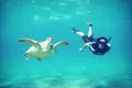 Swim with Turtles at Abu Dabbab – Marsa Alam