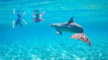 snorkeling-trip-to-dolphin-house-sataya-island-