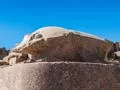Tagesausflug von Hurghada nach Luxor-Kings Valley mit dem Bus