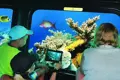 Excursion en bateau à fond de verre  