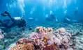 Excursion de plongée en apnée sur l'île de Tiran