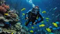 Plongée à Hurghada | Pour les débutants et les professionnels