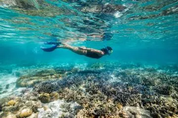 Swim with Turtles at Abu Dabbab – Marsa Alam