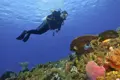 Plongée à Hurghada | Pour les débutants et les professionnels