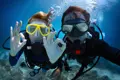 Plongée à Hurghada | Pour les débutants et les professionnels